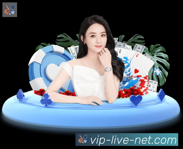 未来规划