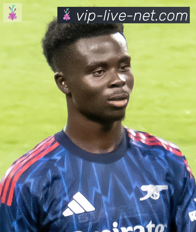 维尼修斯